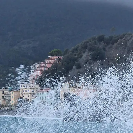 La Terrazza Di Daniela * Monterosso al Mare