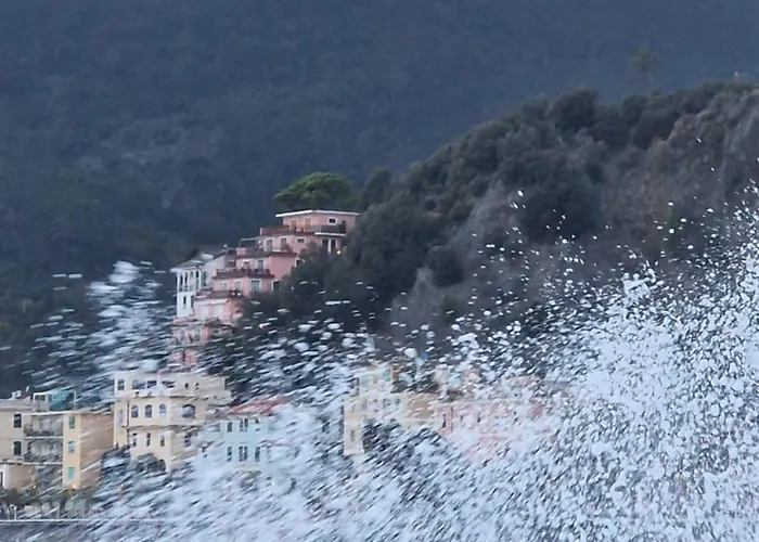 La Terrazza Di Daniela * Monterosso al Mare