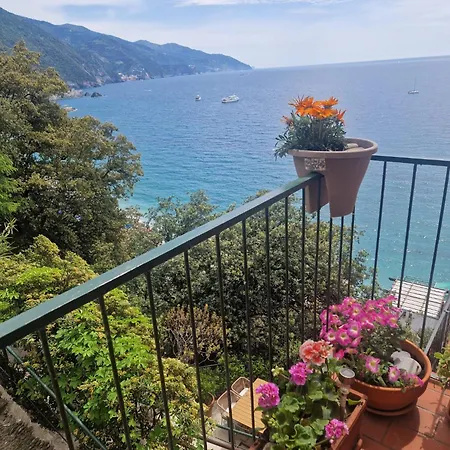 La Terrazza Di Daniela Apartment